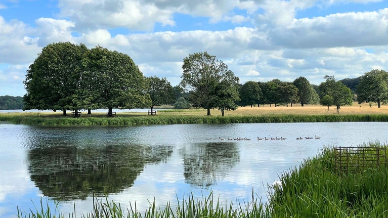 View of Tatton Mere, Tatton Park, Cheshire